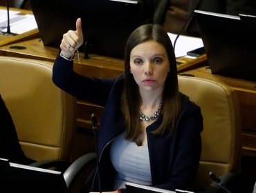 Diputada Flores pide al Gobierno que compre a pymes de cada región los insumos para las cajas de mercadería