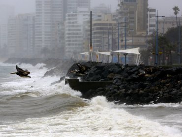 Aviso especial de marejadas: Olas de hasta cuatro metros de altura se registraron en Viña del Mar