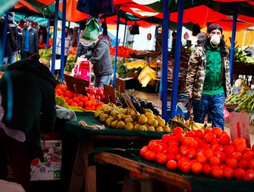 Feria hortofrutícola de Viña del Mar regresó a su tradicional ubicación en el estero