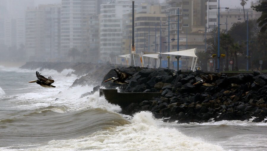 Aviso especial de marejadas: Olas de hasta cuatro metros de altura se registraron en Viña del Mar