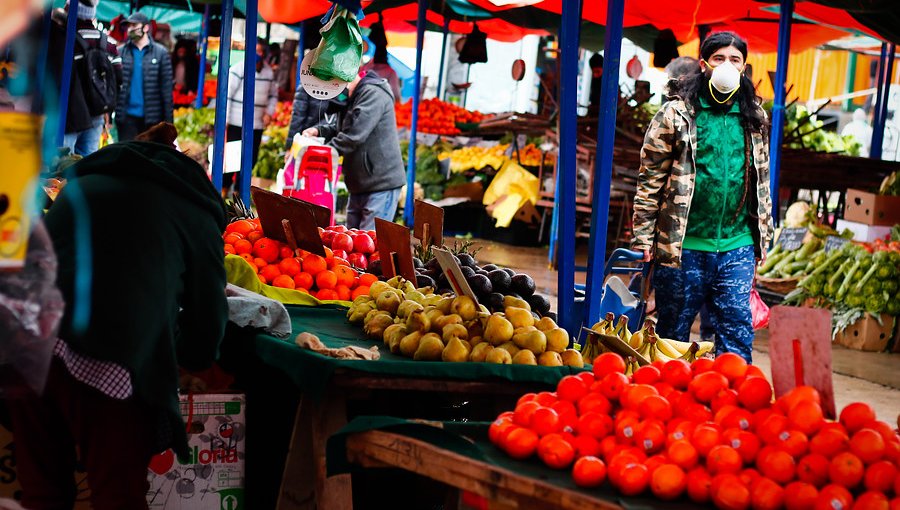 Feria hortofrutícola de Viña del Mar regresó a su tradicional ubicación en el estero