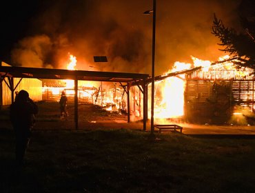 Gobierno se querelló por incendios que consumieron tres escuelas en la provincia de Arauco