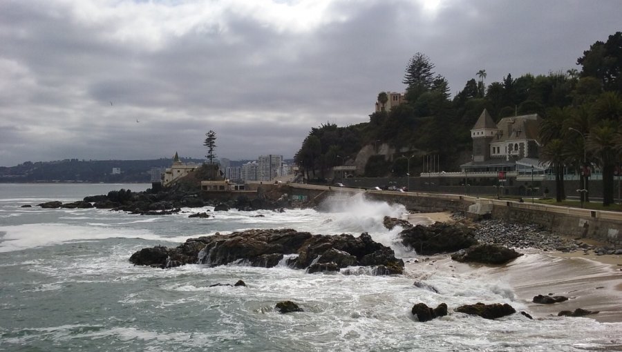 Investigadora de la U. de Playa Ancha sugiere que el SARS-CoV-2 podría afectar a los océanos