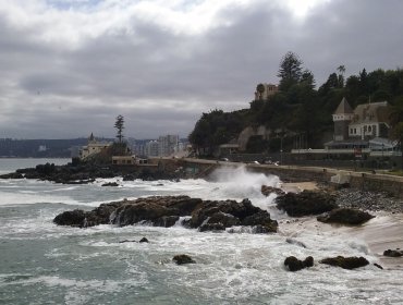 Investigadora de la U. de Playa Ancha sugiere que el SARS-CoV-2 podría afectar a los océanos