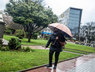 Declaran Alerta Temprana Preventiva para la región del Biobío por precipitaciones y viento