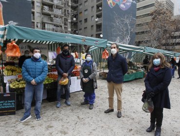 Volvió a funcionar la feria libre en sector de Santo Domingo en Santiago