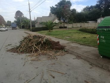 Polémica en Viña del Mar tras vídeo difundido con fuerte agresión verbal de ex concejal de la UDI a personal del Aseo