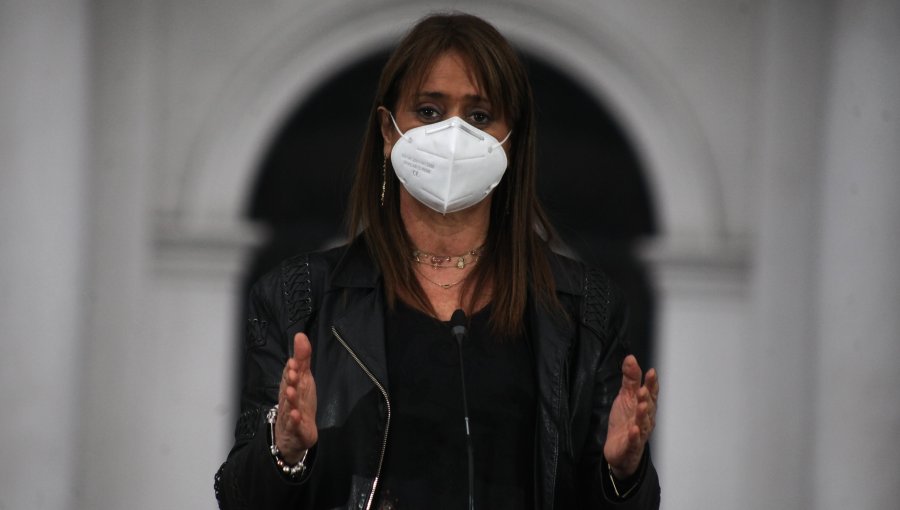 Senadora Van Rysselberghe y cambio de gabinete: “Va a dar buenos resultados”