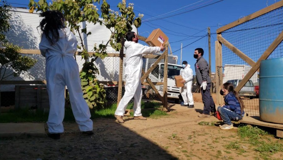 Comienza entrega de cajas con productos de limpieza para familias de los 181 campamentos de la región de Valparaíso