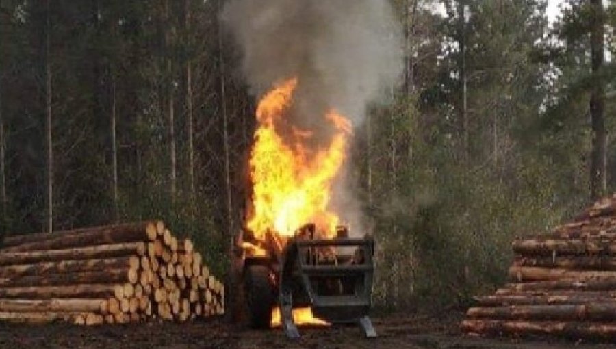 Cifran en $1.000 millones los daños tras nuevo ataque incendiario en Arauco