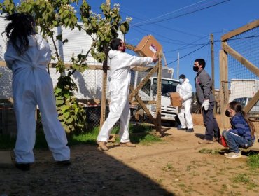 Comienza entrega de cajas con productos de limpieza para familias de los 181 campamentos de la región de Valparaíso