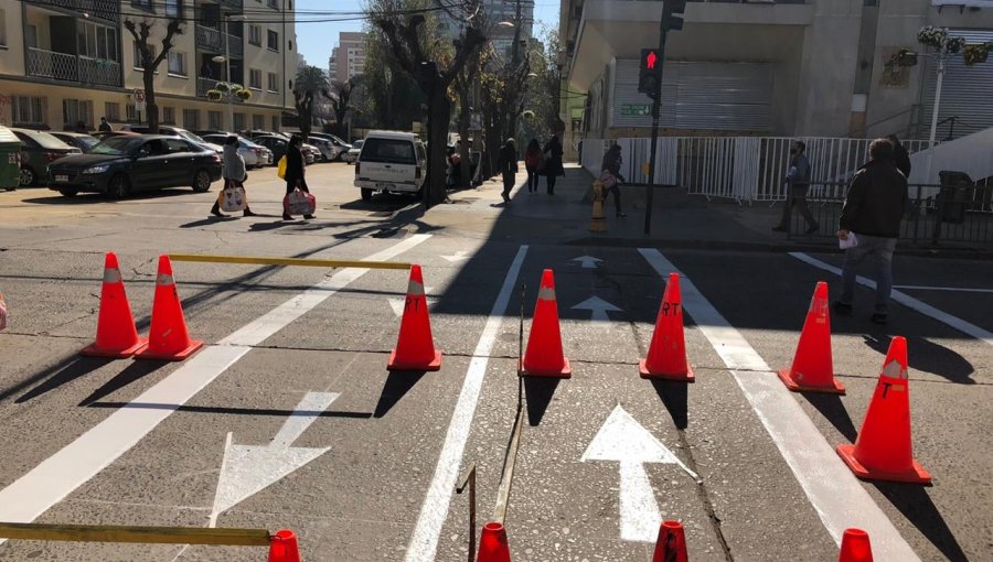 Municipalidad de Viña del Mar comenzó demarcación de cruces peatonales diferidos para mantener el distanciamiento