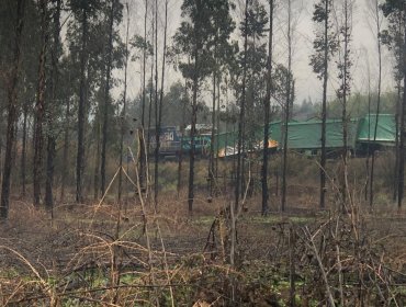 Tren de carga descarriló tras nuevo ataque armado en la región de La Araucanía