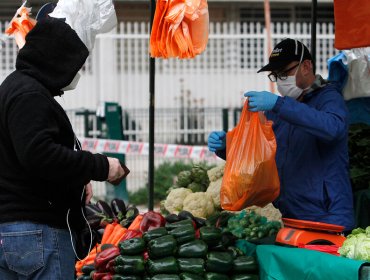 Aprueban idea de legislar proyecto que regula condiciones sanitarias para el funcionamiento de ferias libres