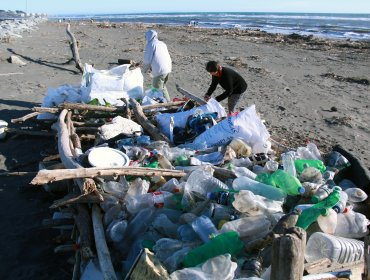 San Antonio: Finaliza exitosa semana de limpieza en playa de Llolleo