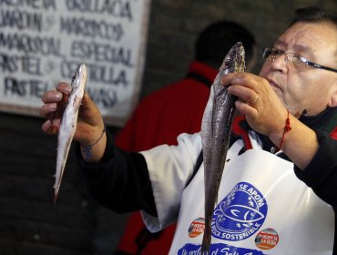 Comenzó la veda de la merluza austral: Desde Los Lagos hasta Magallanes