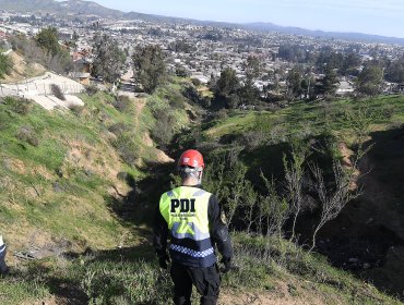 Hasta con una vidente buscan a Ámbar en Villa Alemana: mujer recomendó recorrer quebrada