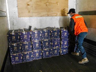 Fiscalía investiga a Intendencia de Tarapacá por posibles delitos en la compra de cajas de alimentos