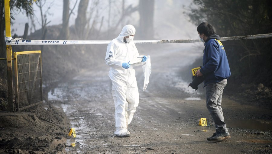 PDI realiza peritajes en fundo donde se registró nuevo ataque incendiario en Padre las Casas