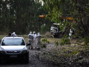 Ataque incendiario afectó a maquinaria forestal en predio de la provincia de Osorno