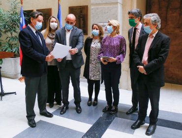 Diputados de diversas bancadas apoyarán Acusación Constitucional contra jueza que otorgó libertad al presunto asesino de Ámbar