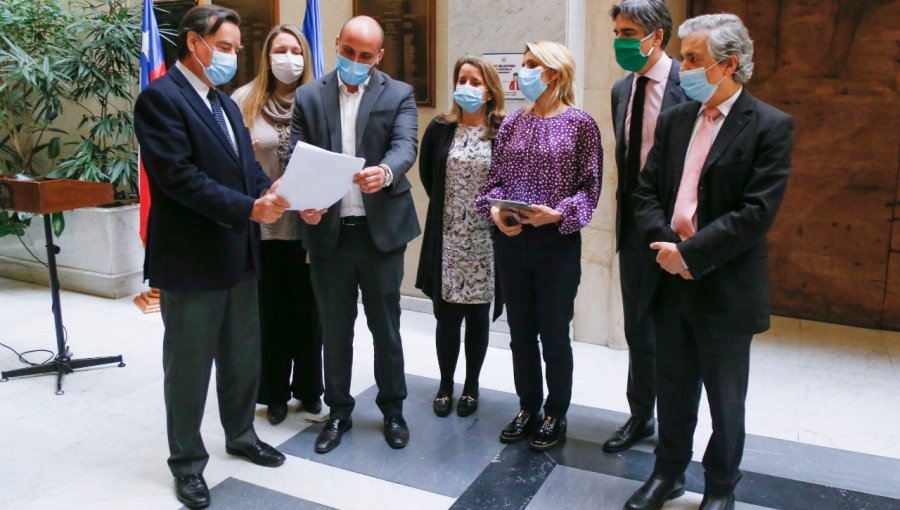 Diputados de diversas bancadas apoyarán Acusación Constitucional contra jueza que otorgó libertad al presunto asesino de Ámbar