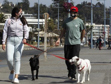 Día Internacional de la Juventud: en Chile hay 2.703.243 personas de entre 15 a 24 años