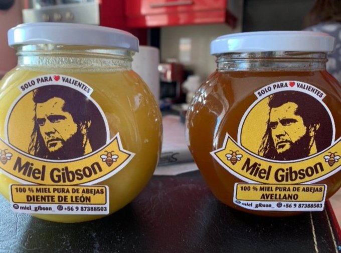 Empresaria se apropia del nombre «Miel Gibson» y desata fuerte polémica