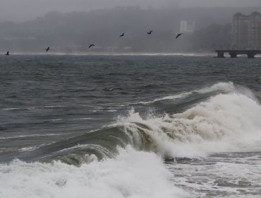 Emiten aviso de marejadas entre las costas del Golfo de Penas y Arica