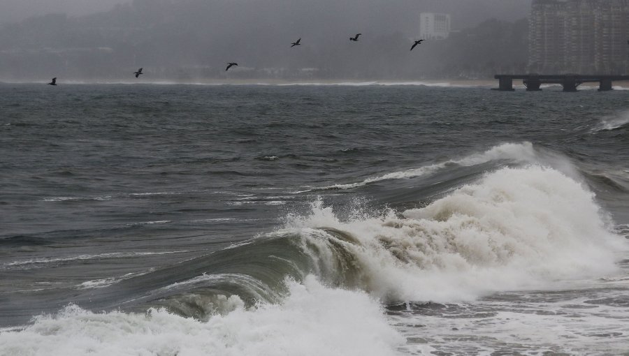 Emiten aviso de marejadas entre las costas del Golfo de Penas y Arica