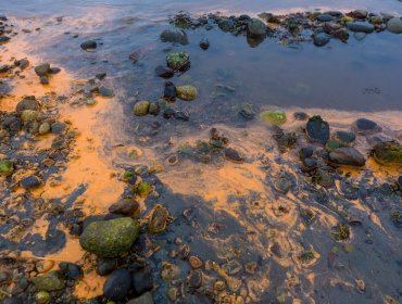 Emergencia ambiental en Calbuco: Muelle se hundió con toneladas de alimentos para salmones