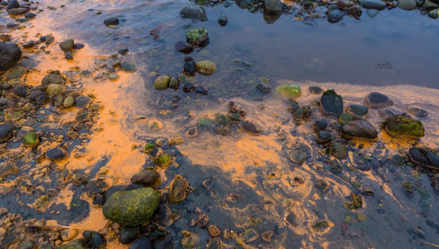 Emergencia ambiental en Calbuco: Muelle se hundió con toneladas de alimentos para salmones