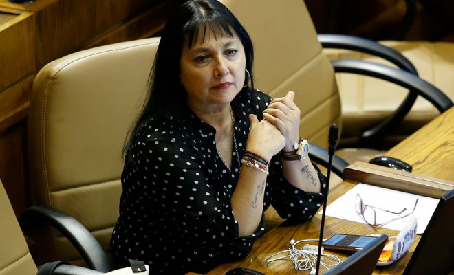 Diputada Marzán ofició a Sernageomin y la Dirección General de Aguas por minera ilegal en Colliguay