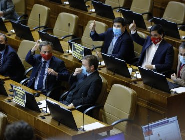 Cámara de Diputados despachó al Senado el proyecto que limita el gasto de la campaña para el Plebiscito