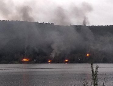 Nuevo ataque incendiario en la provincia de Arauco: queman cuatro cabañas en Lago Lanalhue