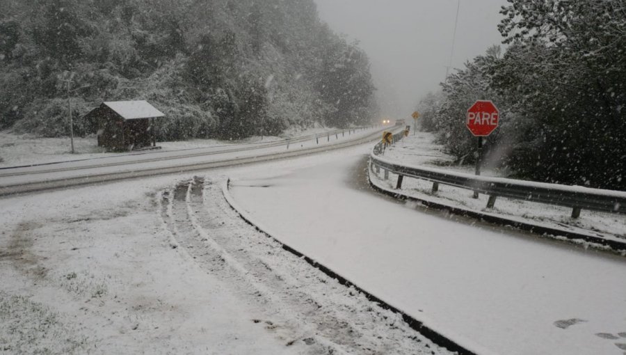 Habitantes de Valdivia se mostraron sorprendidos por inédita nevazón en zona urbana de la ciudad