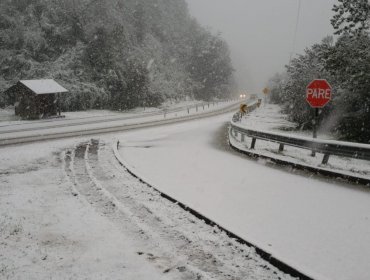 Habitantes de Valdivia se mostraron sorprendidos por inédita nevazón en zona urbana de la ciudad