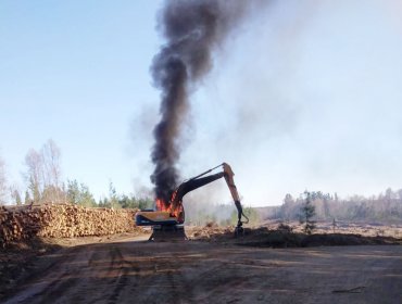 Atentado incendiario en Mulchén deja seis máquinas forestales y tres camionetas quemadas