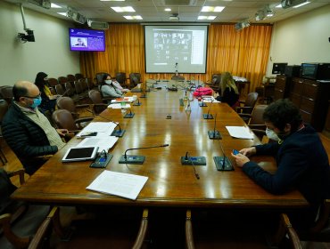 Comisión de Constitución de la Cámara despachó a Sala veto a proyecto de Servicio de Protección a la Niñez