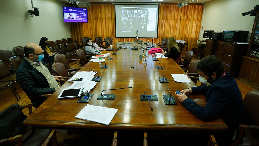 Comisión de Constitución de la Cámara despachó a Sala veto a proyecto de Servicio de Protección a la Niñez