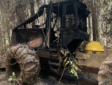 Nuevo ataque incendiario deja al menos dos cabañas quemadas en la provincia de Arauco