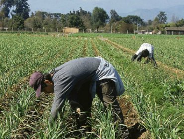 Anuncian inversión de US$10 millones que beneficiará a agricultores de la región de Valparaíso