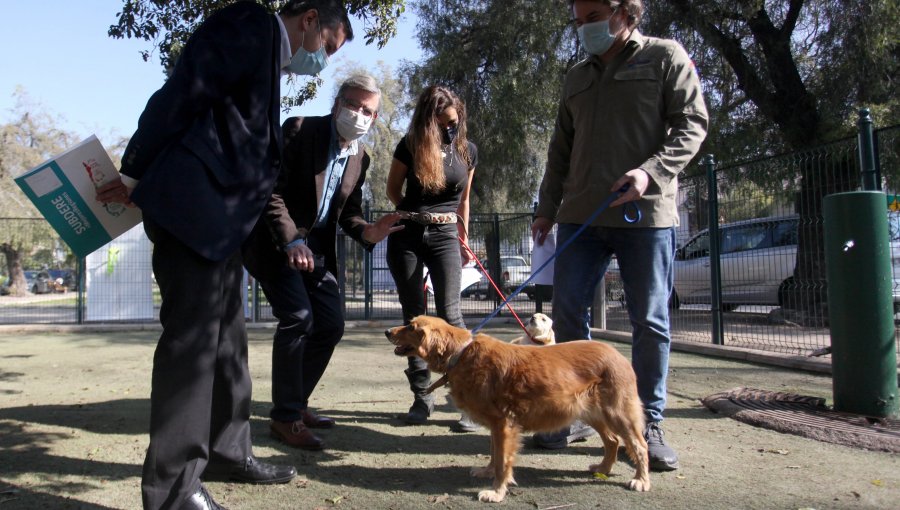 Cinco tips para cuidar tu salud y la de tu mascota durante el desconfinamiento