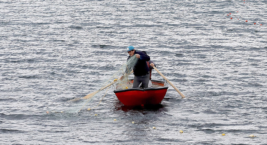 Core Araneda pide al Gobierno un bono para pescadores de San Antonio producto de la veda de la merluza