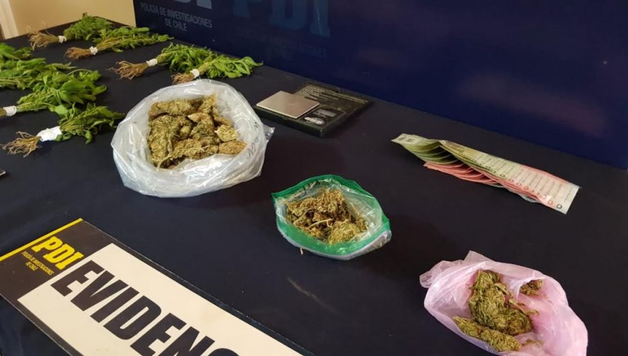 PDI detuvo a sujeto que mantenía un punto de venta de marihuana en población de Los Andes