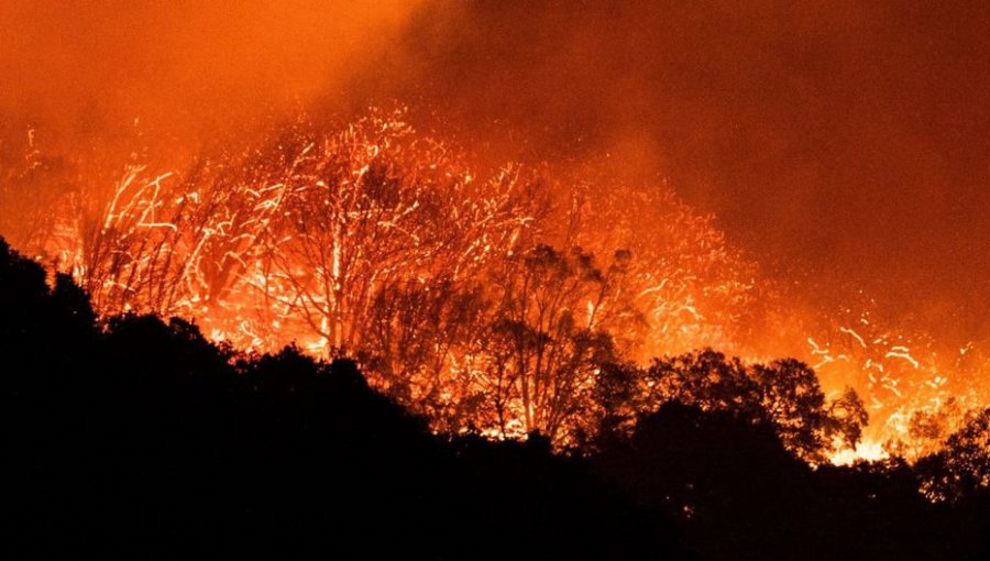 «Creek Fire»: Incendio forestal ha consumido 55 mil hectáreas y destruido 65 viviendas en California