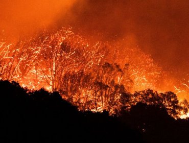 «Creek Fire»: Incendio forestal ha consumido 55 mil hectáreas y destruido 65 viviendas en California