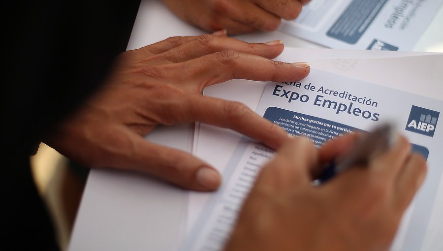 Expo Empleos online ofrece 1.000 vacantes laborales en Viña del Mar