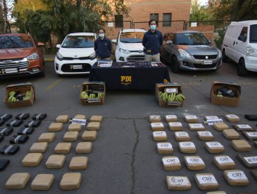 PDI desarticula banda transnacional que traficaba marihuana tipo creepy