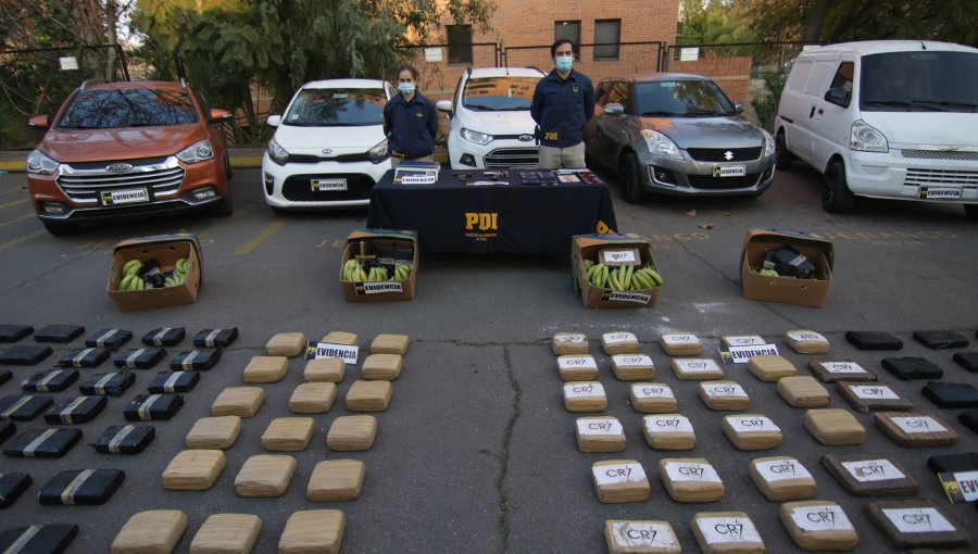 PDI desarticula banda transnacional que traficaba marihuana tipo creepy